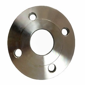 Stainless Steel Plate Flanges
