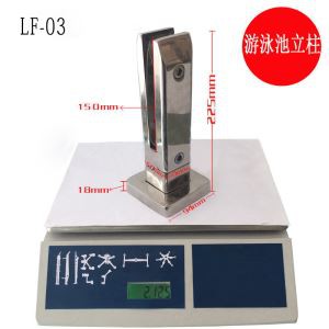 Frameless Glass Pool Pagar Spigots